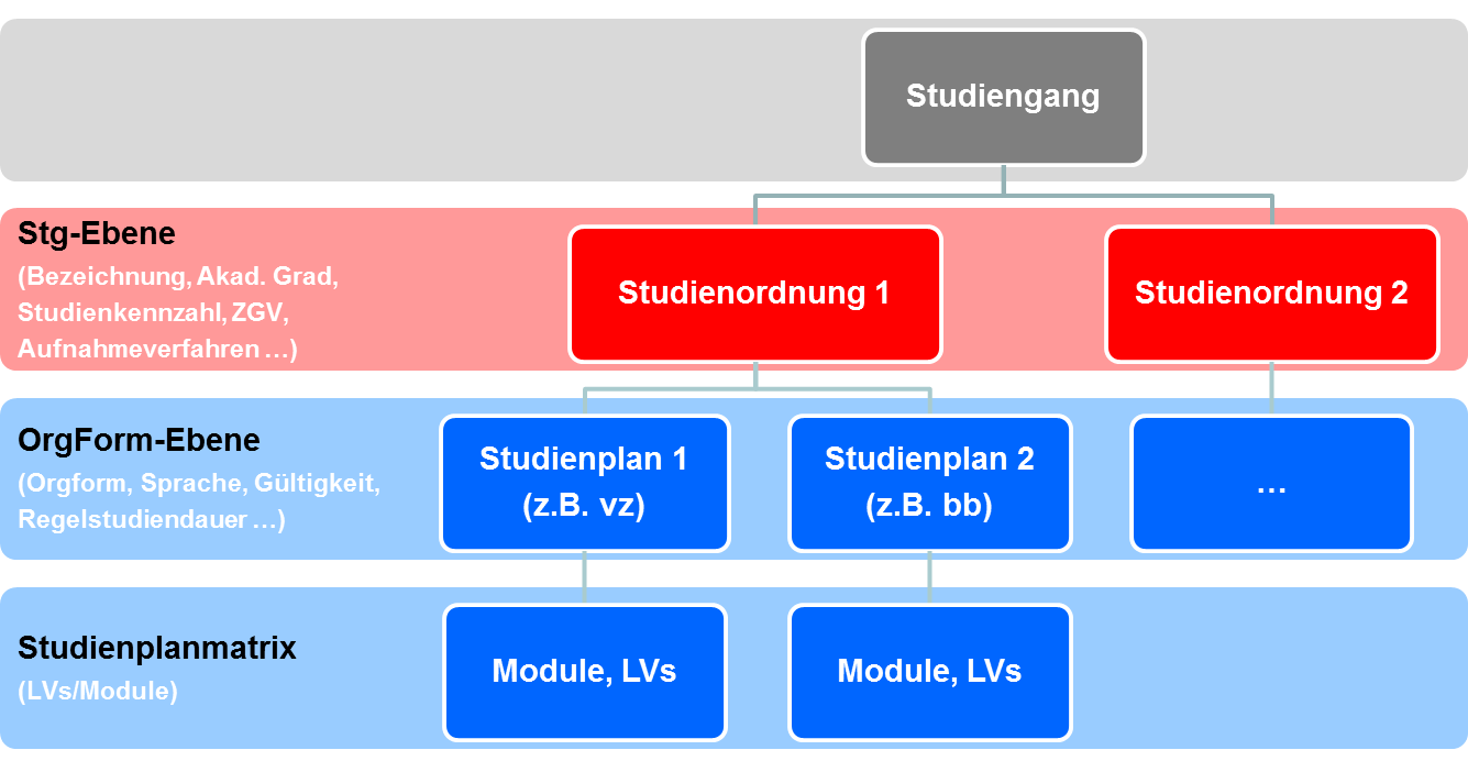 Struktur einer Studienordnung allgemein